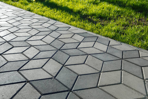 Best Decorative Driveway Pavers  in Hopkins, MN